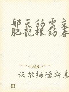那天的云交雨合肥龙根的春天封面