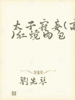 太子宠妾(高肉)红烧肉包