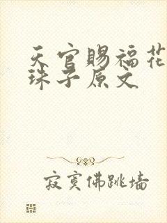 天官赐福花怜塞珠子原文