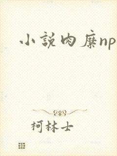 小说肉糜np