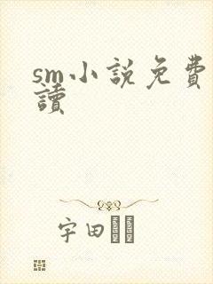 sm小说免费阅读