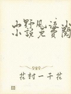 山野风流小神医小说免费阅读封面