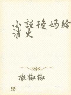 小说后妈给我消消火