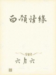 白领情缘