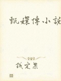 甄嬛传小说封面
