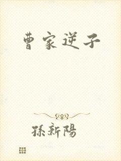 曹家逆子