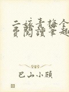 二嫁青梅全文免费阅读笔趣阁