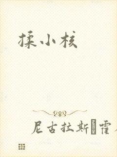 揉小核封面