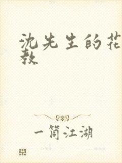 沈先生的花式调教