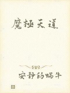 魔极天道封面