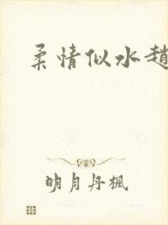 柔情似水赵雅儿