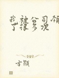 我被公司领导C了很多次