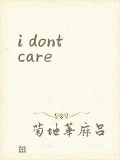 i dont care封面