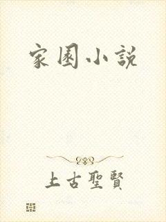 家园小说封面