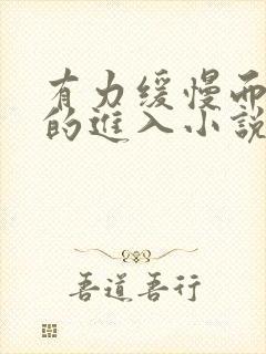 有力缓慢而坚定的进入小说