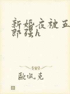 新婚夜被五个伴郎强h