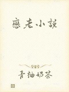 恋老小说