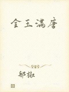 金玉满唐封面