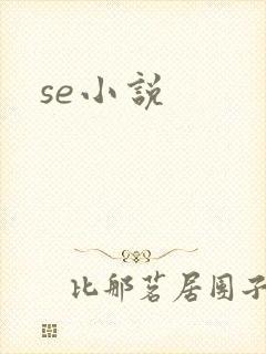 se小说