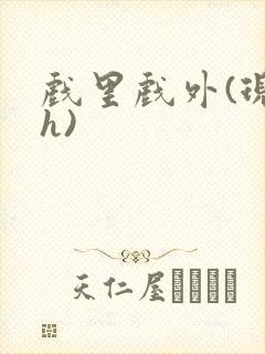 戏里戏外(现场h)