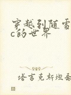 穿越到随处可以c的世界