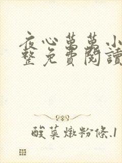 夜心万万小说完整免费阅读全文封面