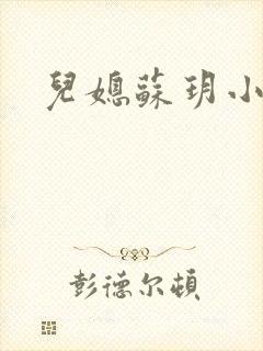 儿媳苏玥小说