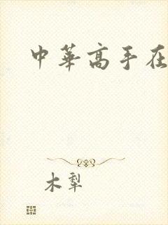 中华高手在异世