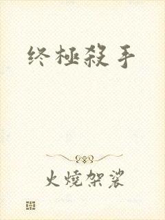 终极杀手