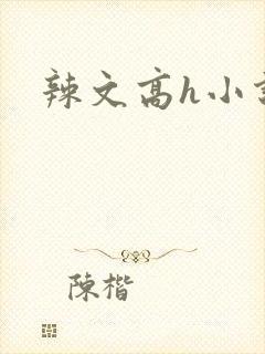 辣文高h小说封面