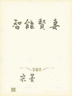 智能贤妻