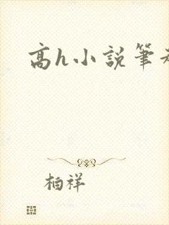 高h小说笔趣阁