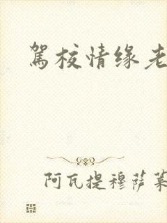 驾校情缘老赵