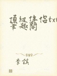 顶级伴侣txt笔趣阁