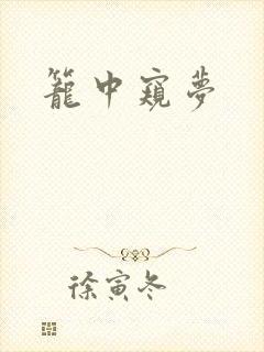 笼中窥梦