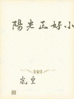 阳光正好小说