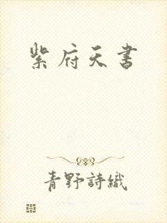 紫府天书