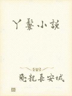 丫鬟小说