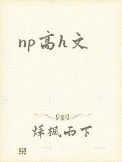 np高h文