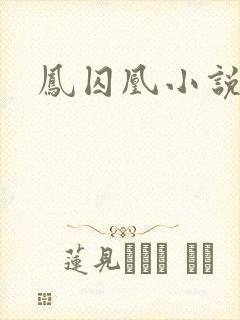 凤囚凰小说封面