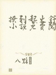 撩到起火舒漾的小说免费阅读全文封面