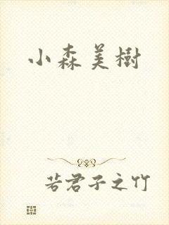 小森美树封面