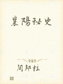 襄阳秘史