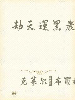 劫天运黑岩封面