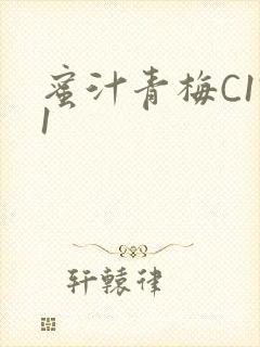 蜜汁青梅C1V1