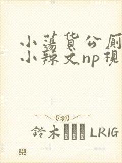 小荡货公厕h文小辣文np视频封面