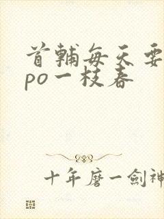 首辅每天要不够po一枝春封面