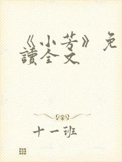 《小芳》免费阅读全文封面