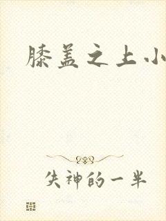 膝盖之上小说
