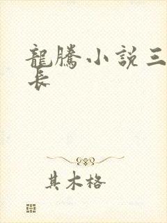 龙腾小说三宝局长封面